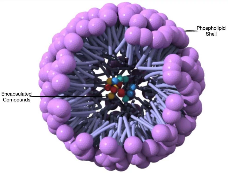 OCC micelle